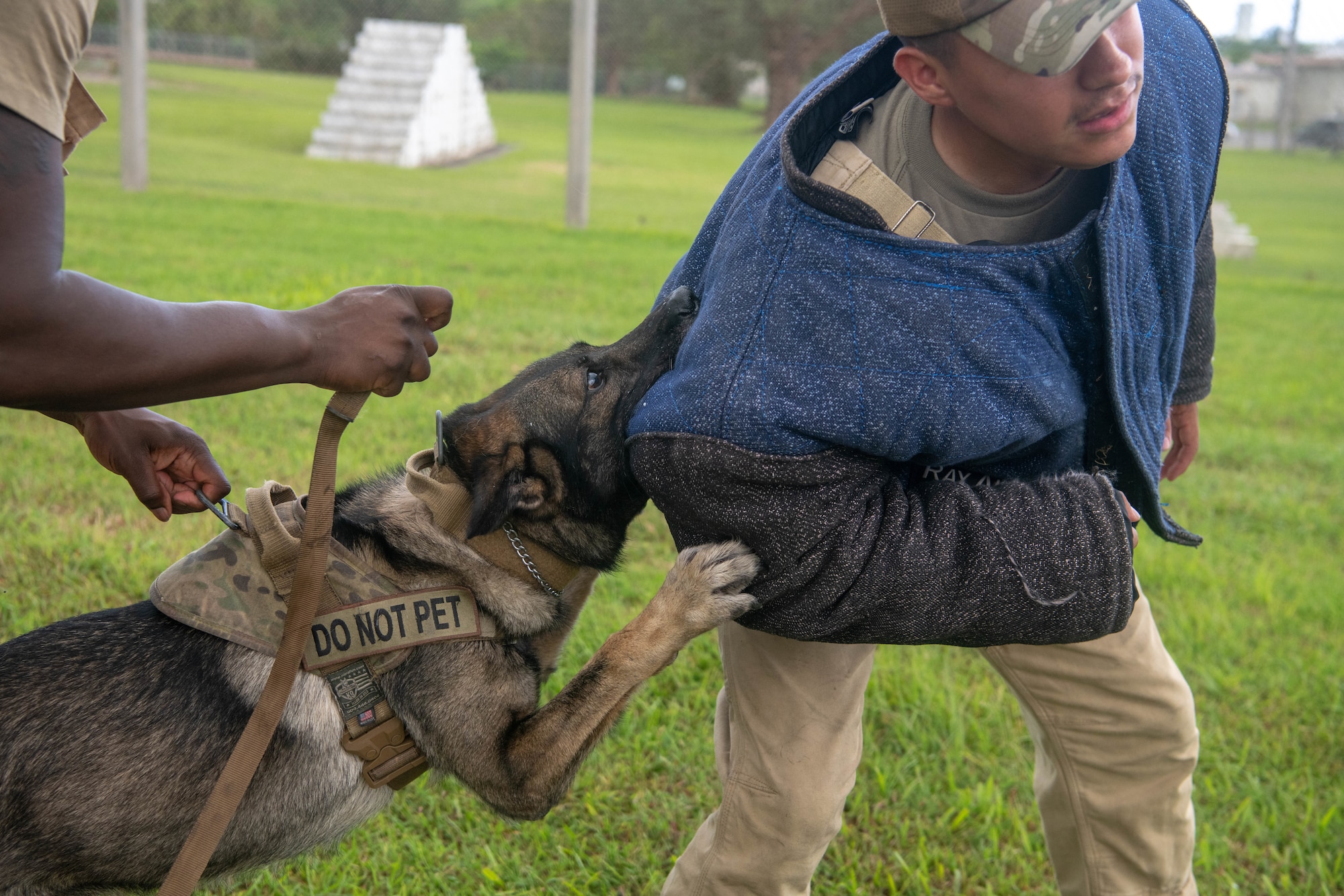 Military Working dog trains with K9 unit handler