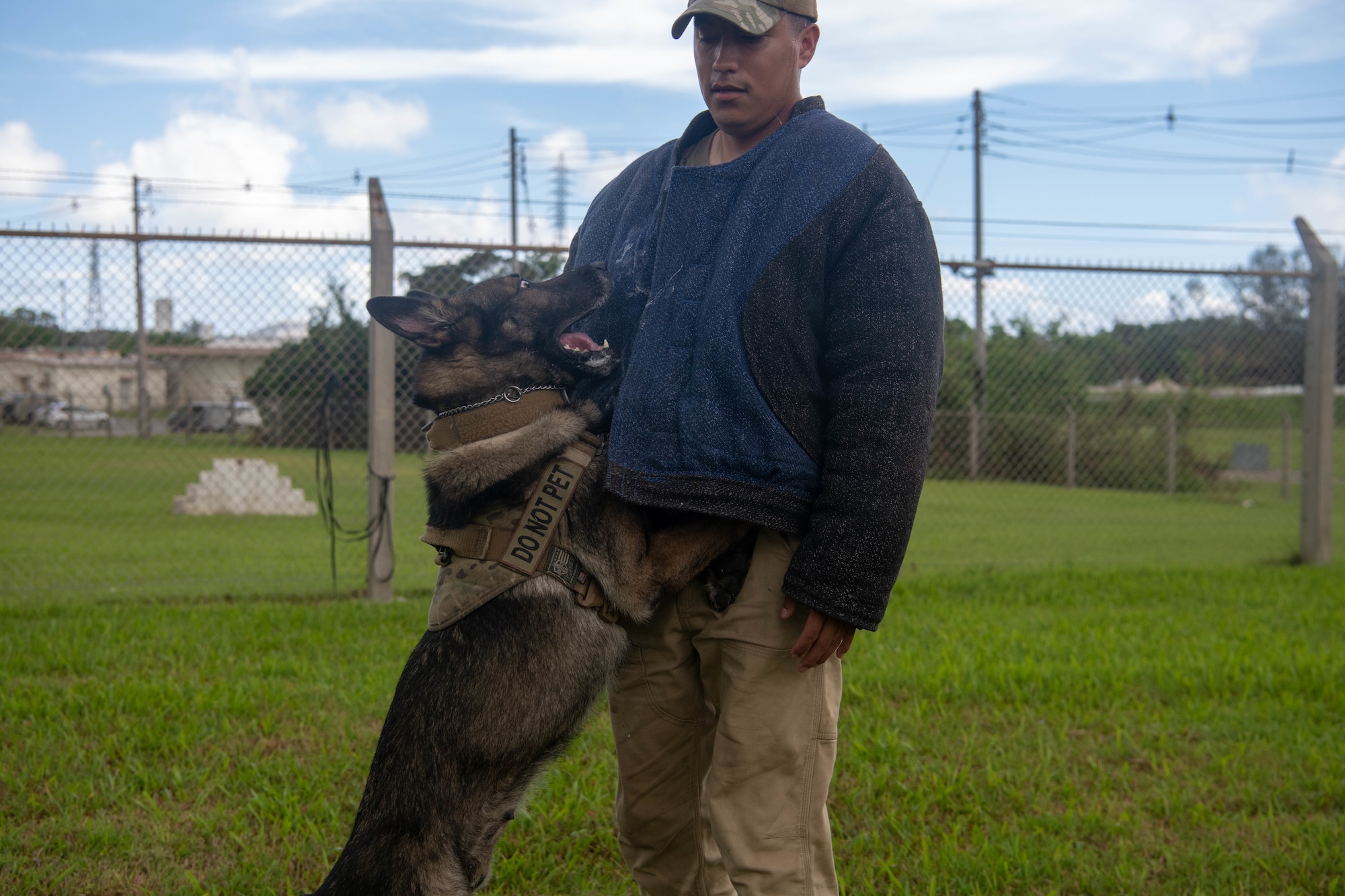 K9 Unit trainer works with dog on controlled bite training