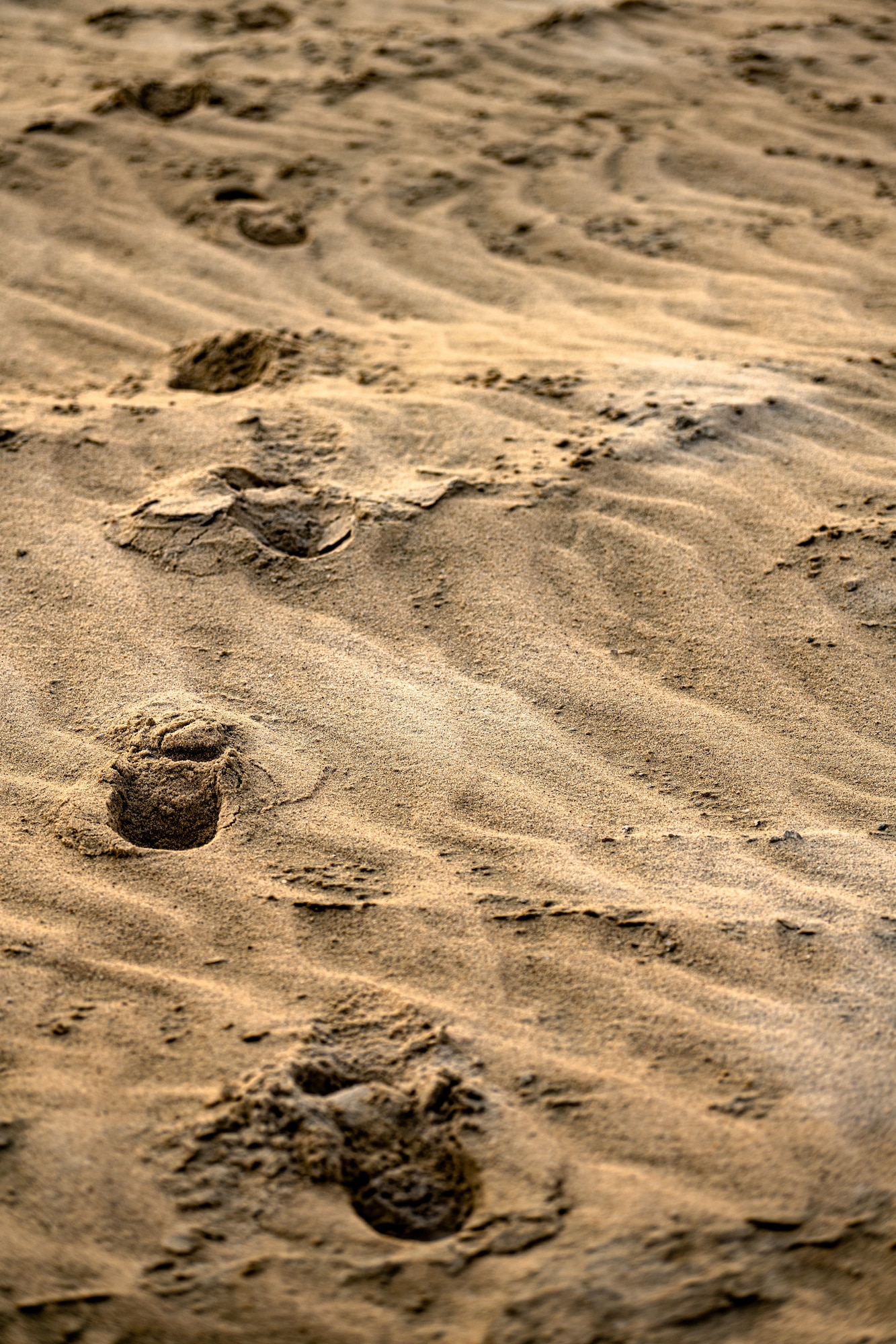 Foot prints in the sand