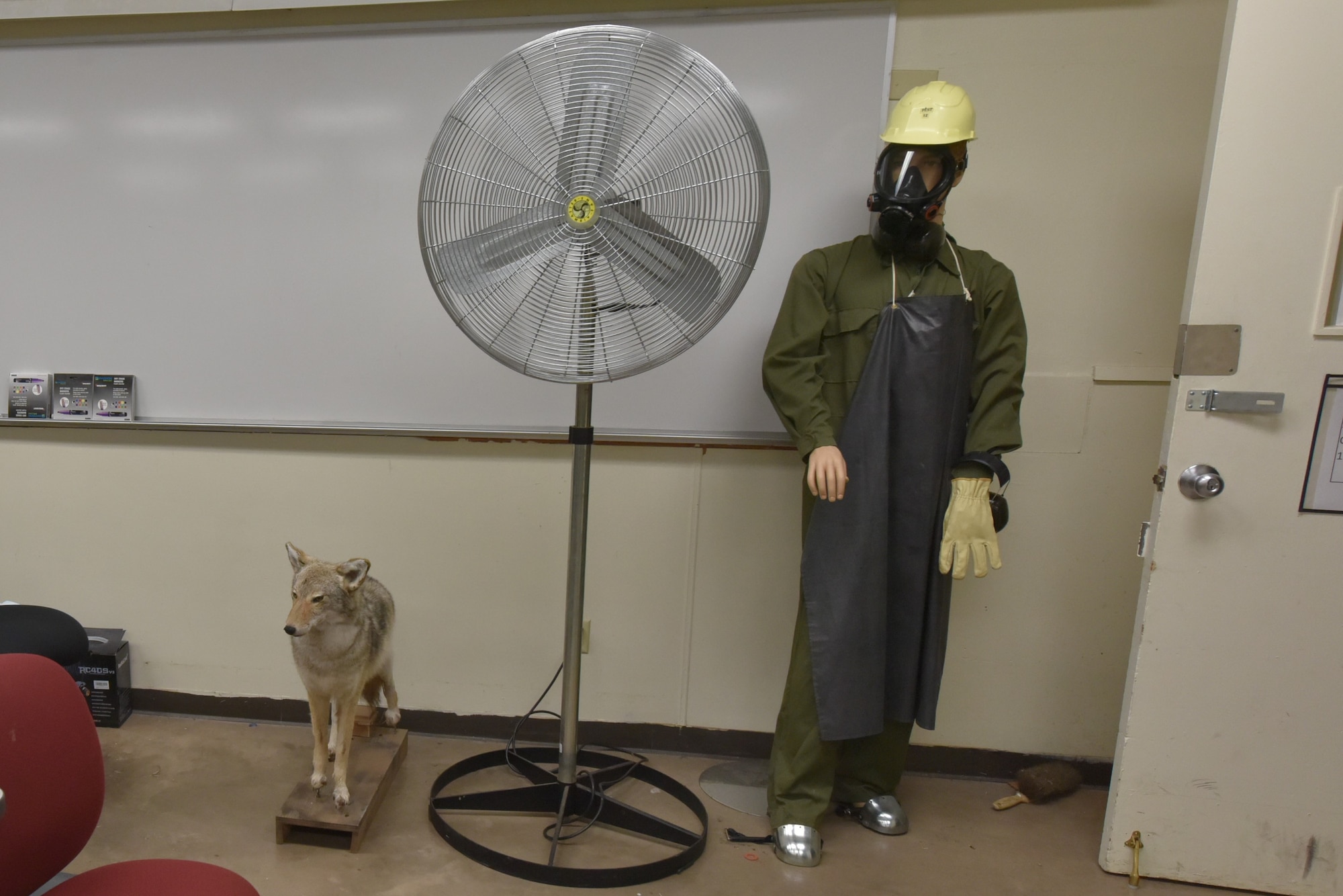 A mannequin suited up in PPE stands next to a taxidermied coyote in a Pest Management classroom July 27, 2023 at Sheppard Air Force Base, Texas. Pest Management technicians learn to protect themselves from the chemicals used to control various pests.