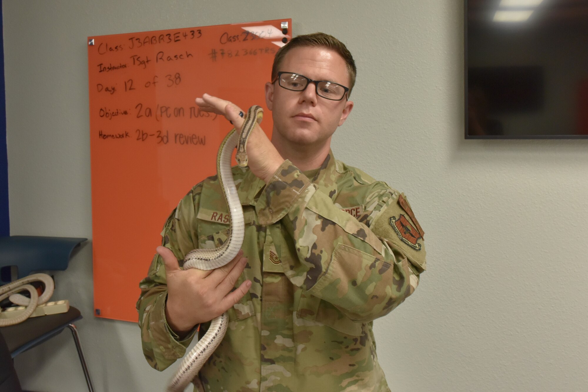 An Airman holds a corn snake