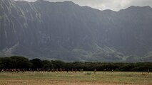 High school students compete in the 5,000-meter race during the Hawaii High School Athletic Association cross country season opener on Marine Corps Training Area Bellows, Marine Corps Base Hawaii, Aug. 29, 2023. This marked the first year that MCTAB, a non-live fire training facility utilized and maintained by service members across the Pacific, has hosted the event, which consisted of several 3,000-meter and 5,000-meter races across the facility. (U.S. Marine Corps photo by Lance Cpl. Hunter J. Jones)