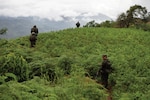 Military incursion in the valley area of the Apurimac, Ene and Mantaro rivers (VRAEM) where drugs such as cocaine
are produced.