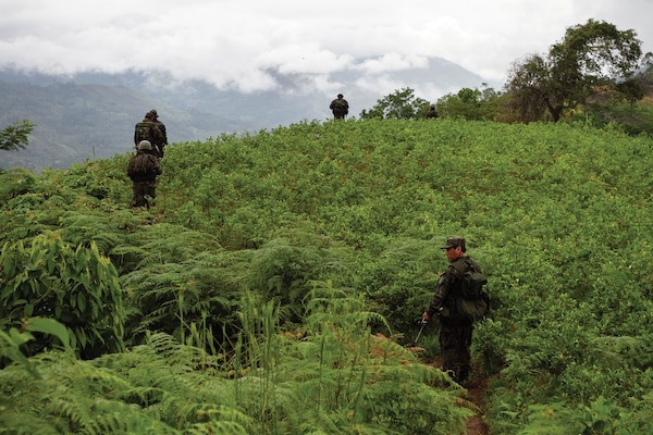 Military incursion in the valley area of the Apurimac, Ene and Mantaro rivers (VRAEM) where drugs such as cocaine
are produced. Apurimac, Peru, November 26, 2011. Photo by David Human Bedoya at Shutterstock ID: 1961528875.