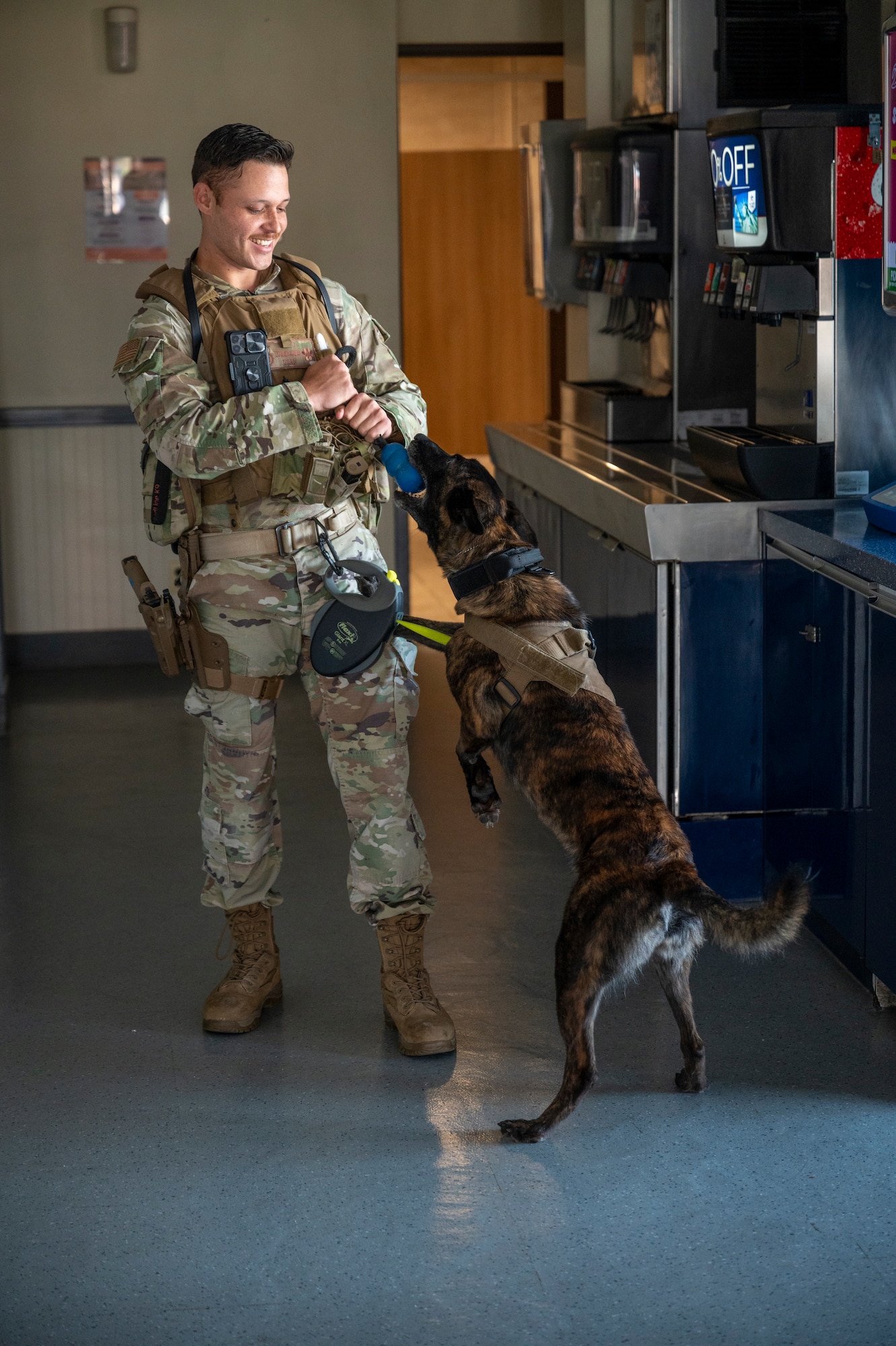 U.S. Air Force Senior Airman Tommi Jones, 51st Security Forces Squadron military working dog handler, rewards MWD Cora during a routine detection training at Osan Air Base, Republic of Korea, Sept. 6, 2023. As positive reinforcement and to incentivize MWDs to find what they are looking for, they are given a reward after each successful task. Routine detection training improves MWD handler’s abilities to work together as a team with their MWD to better accomplish mission objectives. (U.S. Air Force photo by Senior Airman Aaron Edwards)