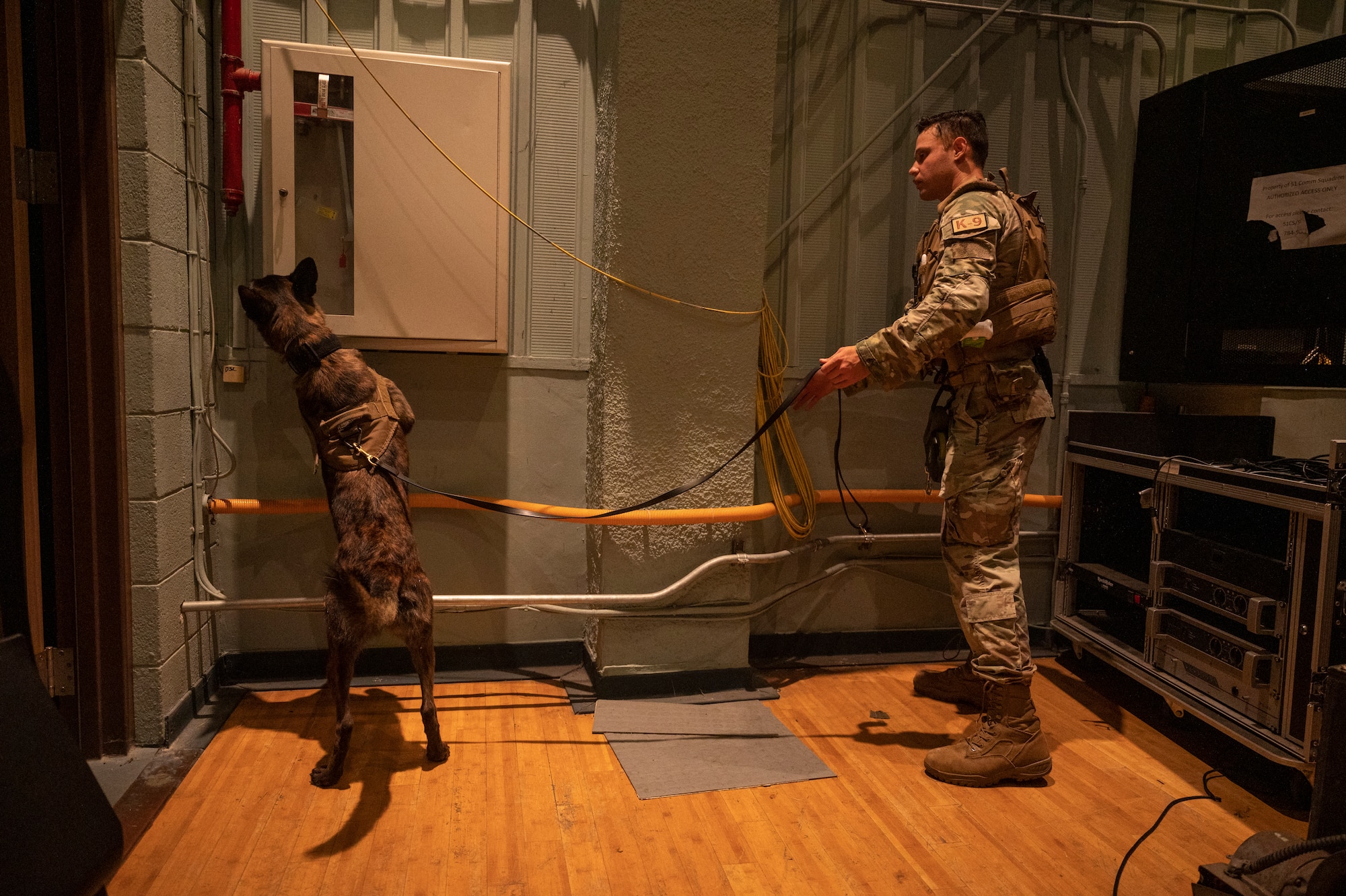 U.S. Air Force Senior Airman Tommi Jones, 51st Security Forces Squadron military working dog handler, and MWD Cora, conduct detection training at Osan Air Base, Republic of Korea, Sept. 6, 2023. Each newly-paired handler and their partner must undergo routine certifications to ensure they can work together as an effective team in order to defend the base. (U.S. Air Force photo by Senior Airman Aaron Edwards)