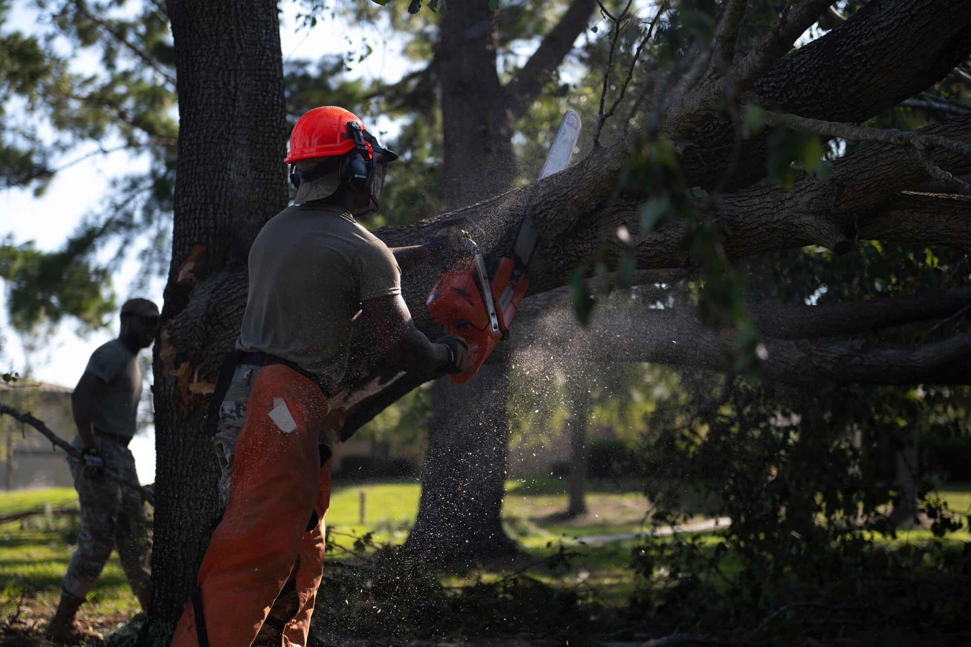An Airman uses a chainsaw to cut a tree.