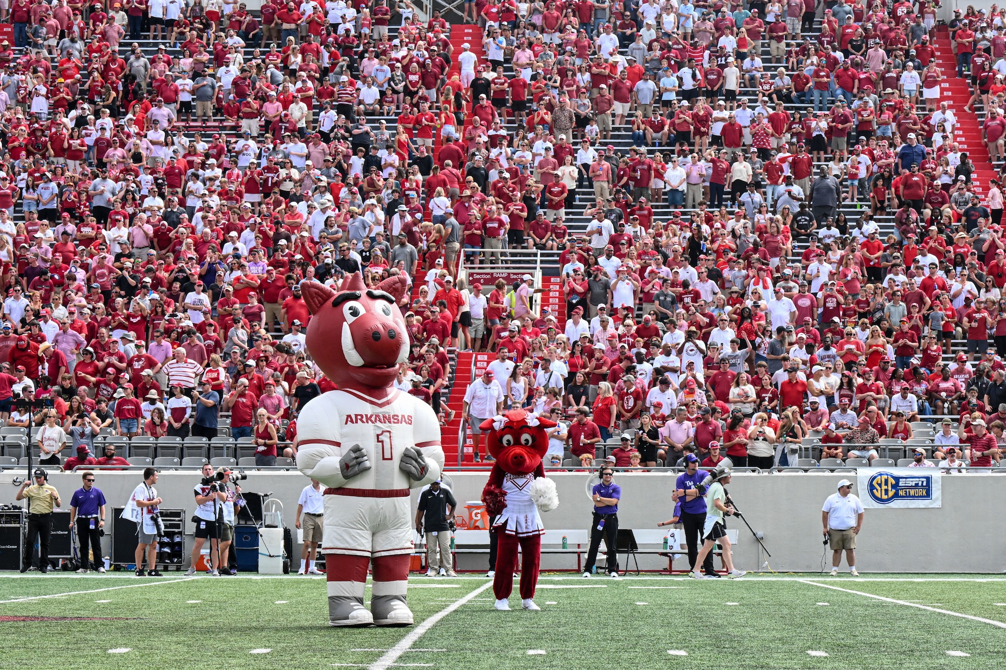 Tusk, the University of Arkansas Razorback’s mascot, stands on the field during a season-opening football game