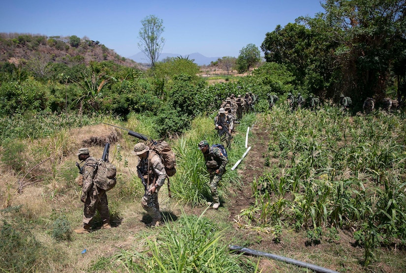 A line of soldiers walks through a field in battle gear.