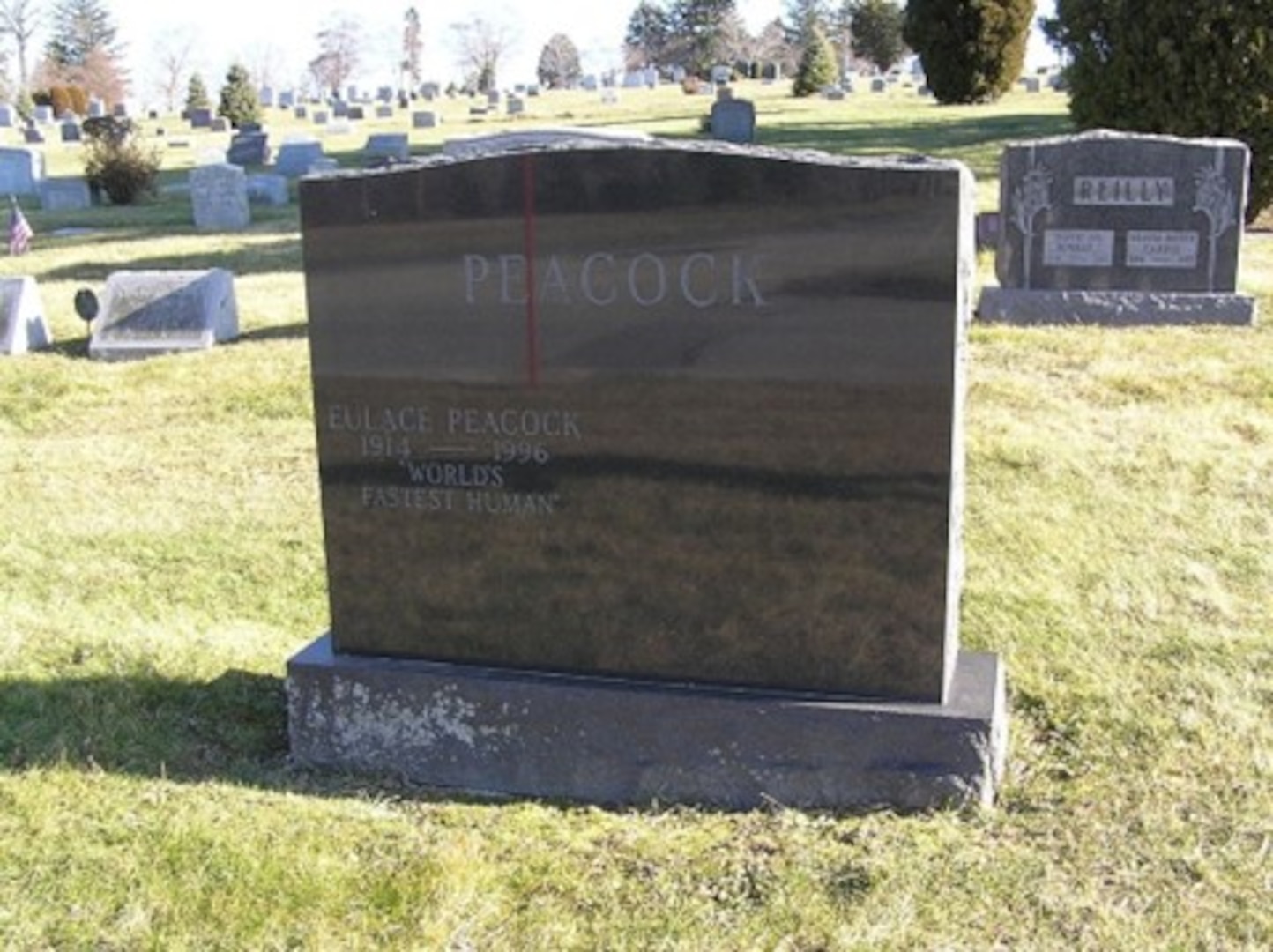 Recent color photograph of Eulace Peacock’s headstone at Kensico Cemetery, in Valhalla, New York. (Findagrave.com)
