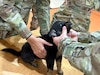 U.S. Army Reserve Soldiers from the 7360th Veterinary Detachment (VD), Montgomery, Ala.,and 7350th VD, Joint Base San Antonio - Fort Sam Houston, Texas; conduct an initial inspection on a dog before a procedure during Innovative Readiness Training - Operation Walking Shield 2023 (OWS 2023) at the Fort Belknap Reservation, Mont., Aug. 7, 2023. Led by the Montana Army National Guard in tandem with Fort Belknap Indian Health Service, OWS 2023 is a joint-component, real world mission supported by units from Army Reserve Medical Command, the 807th Medical Command (Deployment Support), Montana Air National Guard, Arizona National Guard and New Mexico Air National Guard to provide medical coverage to both human and animal patients in the Fort Belknap community. (U.S. Army Reserve photo by Lt. Col. Bradley Fields)