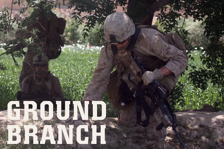 Ground Branch Graphic