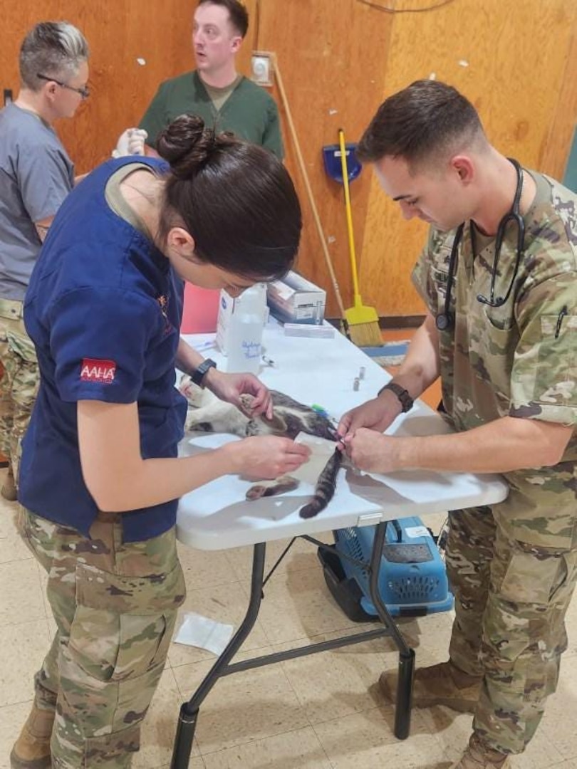 Army Reserve veterinarians augment Operation Walking Shield 2023