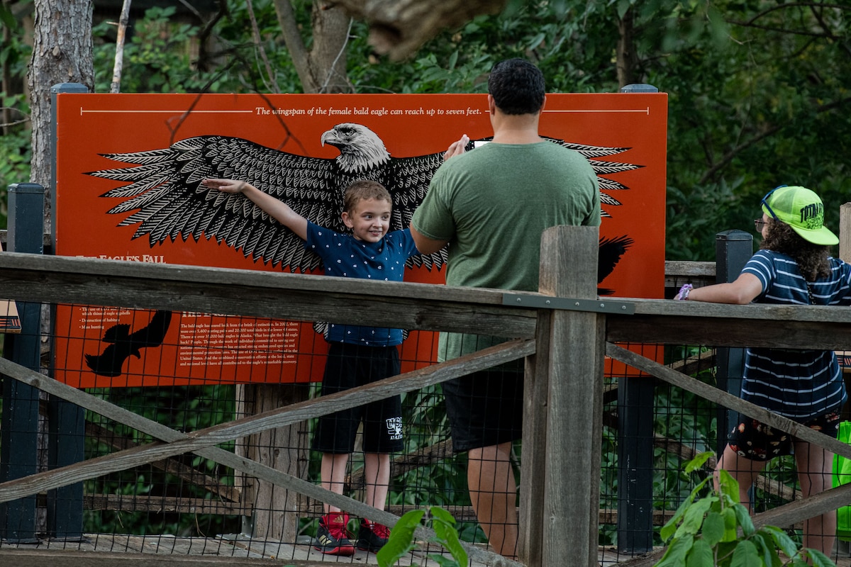 a child spreads their arms in front of a bald eagle graphic