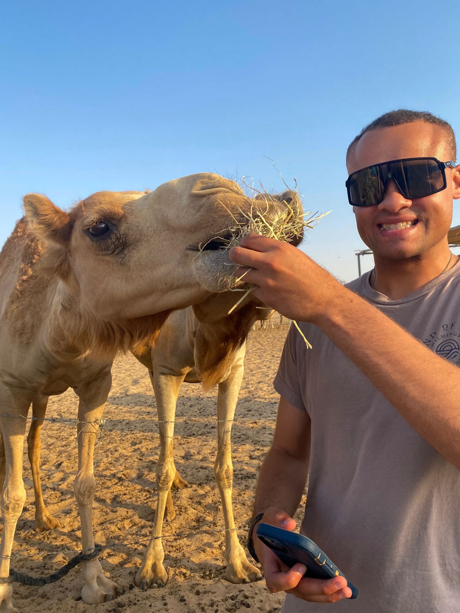 A photo of an Airman feeding a camel.