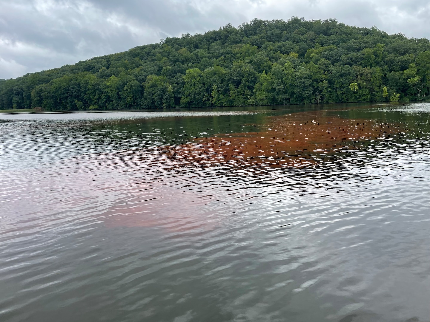 The U.S. Army Engineer Research and Development Center’s (ERDC) Aquatic Plant Management Team in the Environmental Laboratory and the U.S. Army Corps of Engineers (USACE) New England District are conducting a Hydrilla Research and Demonstration Water Study in the Connecticut River.