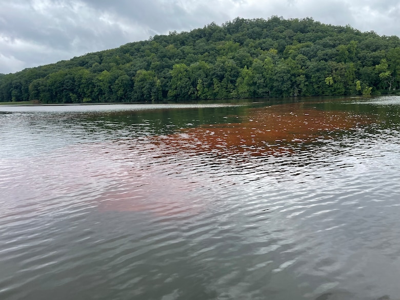 The U.S. Army Engineer Research and Development Center’s (ERDC) Aquatic Plant Management Team in the Environmental Laboratory and the U.S. Army Corps of Engineers (USACE) New England District are conducting a Hydrilla Research and Demonstration Water Study in the Connecticut River.