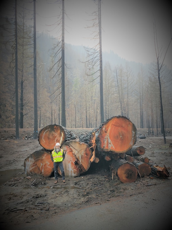 A man in a reflective jacket stands in front of downed tree trunks with a smoky sky in the background.