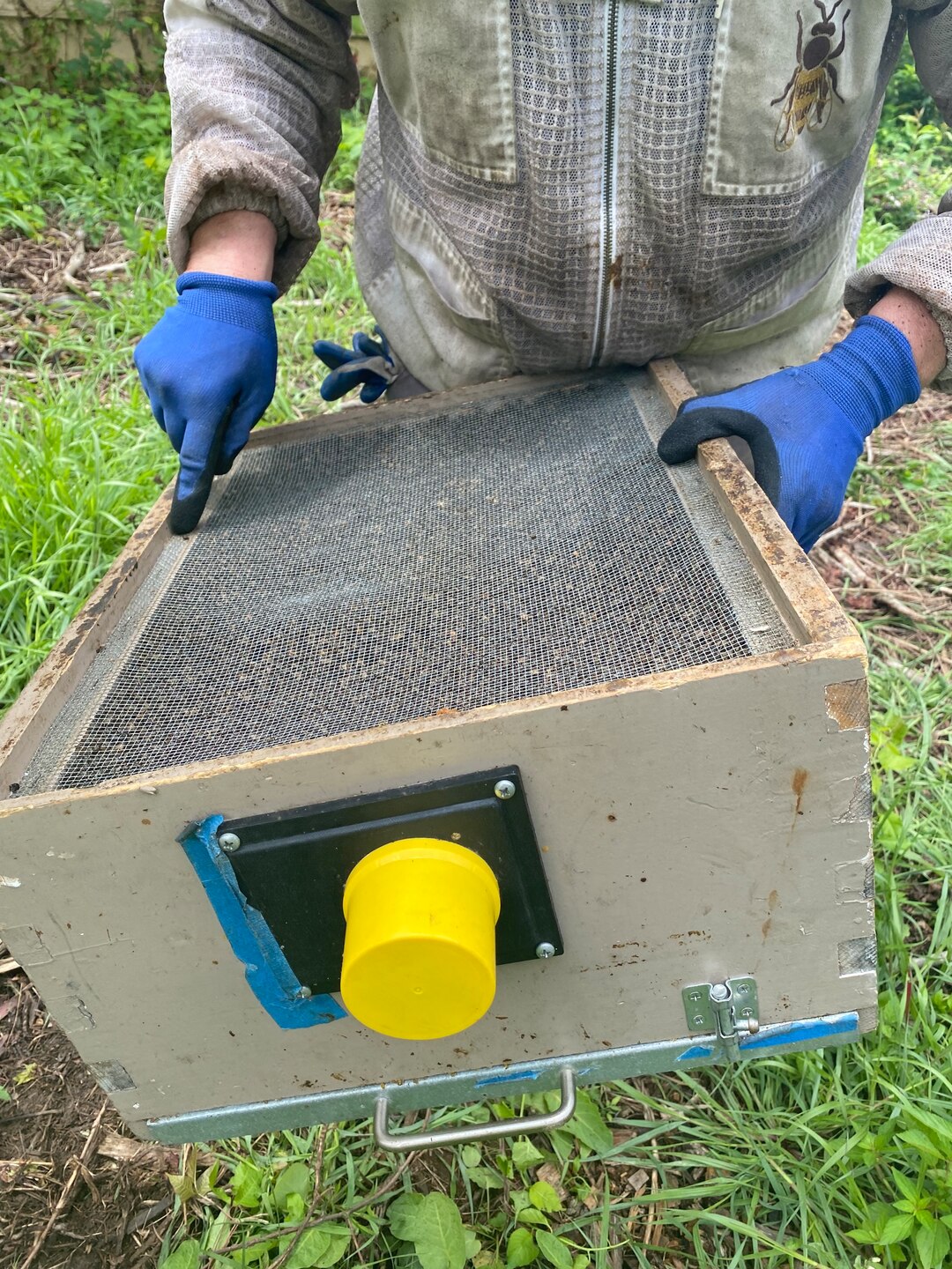 Bees await transportation to Bee Friendly Apiary, Aug. 7, 2023.