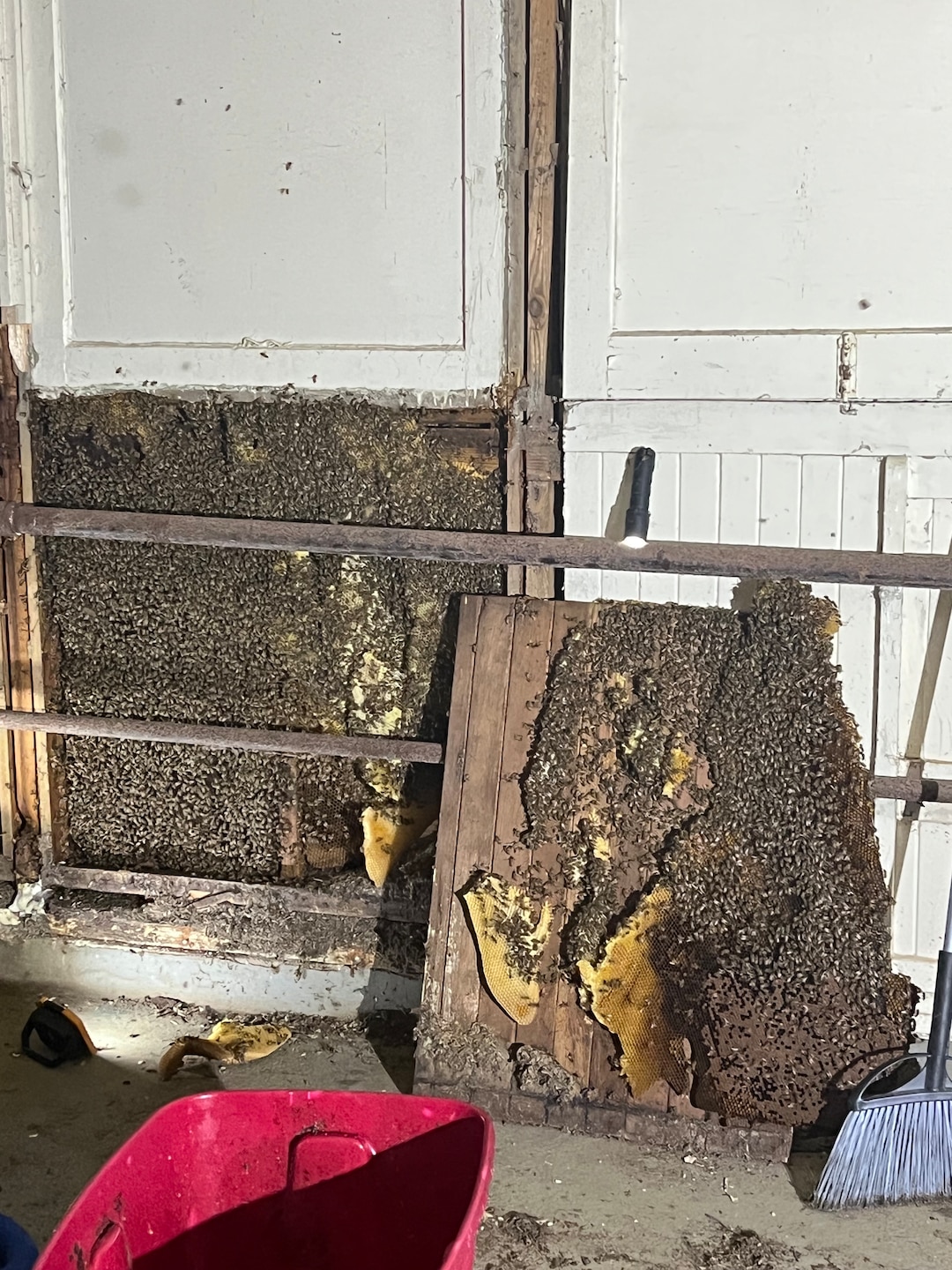 Beehive during extraction, Aug. 7, 2023.