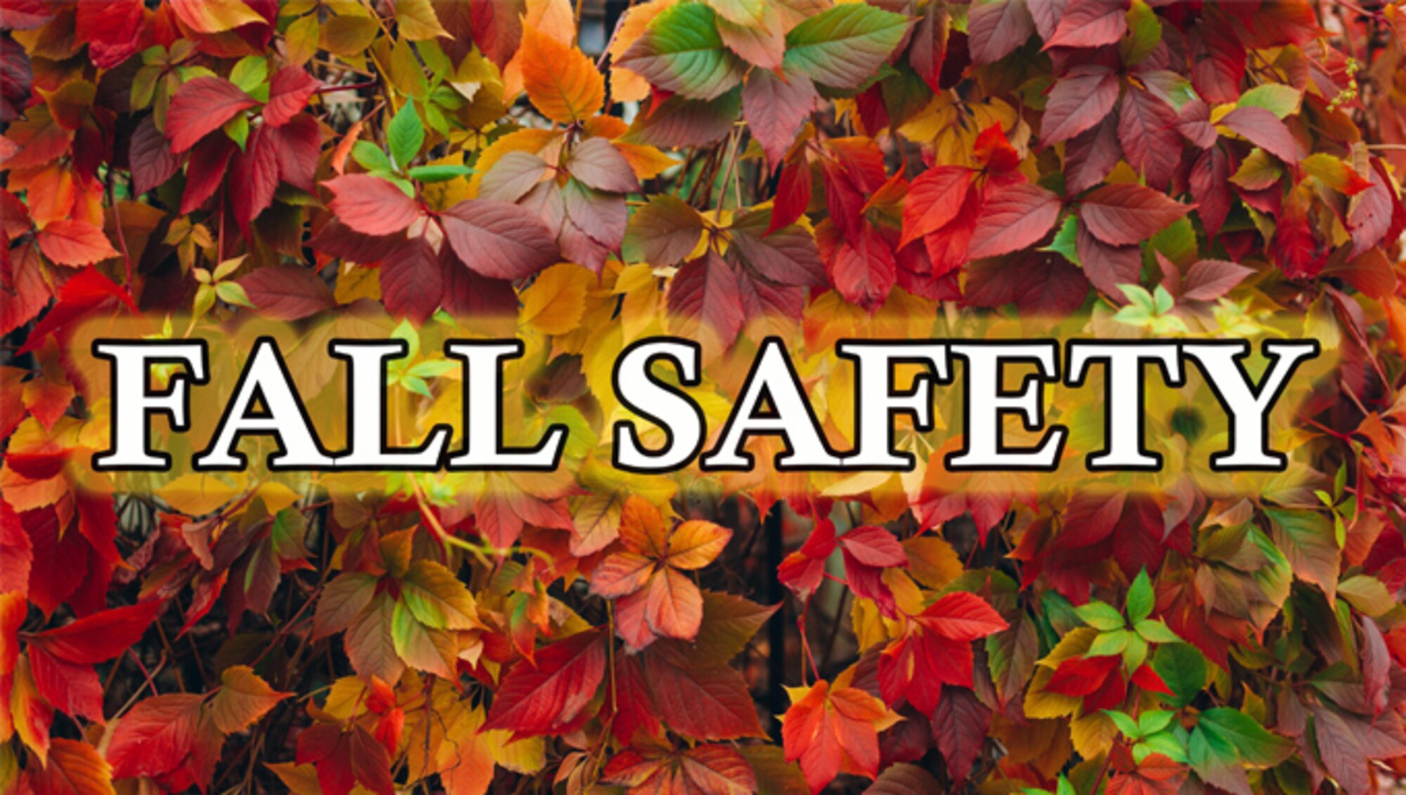Fall Safety