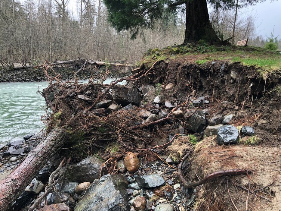 Damage to the Mason Thorson Ells levee looking upstream on the Middle Fork Snoqualmie River.