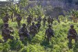 Soldiers patrol in dense foliage.