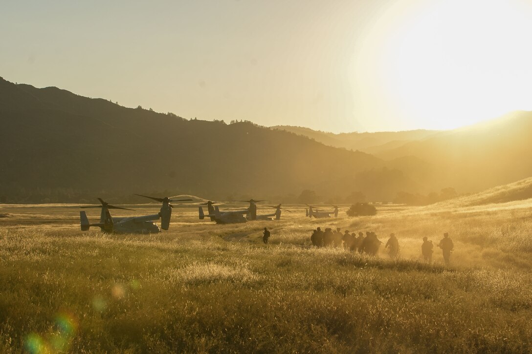 U.S. Marines assigned to Bravo Company, Battalion Landing Team 1/5, 15th Marine Expeditionary Unit, maneuver through a field to board MV-22B Ospreys attached to Marine Medium Tiltrotor Squadron (VMM) 165 (Reinforced), 15th MEU, following a long range raid during Realistic Urban Training exercise at Fort Hunter Liggett, California, Aug. 24, 2023. RUT is a land-based predeployment exercise which enhances the integration and collective capability of the Marine Air-Ground Task Force while providing the 15th MEU an opportunity to train and execute operations in an urban environment. (U.S. Marine Corps photo by Sgt. Smith)