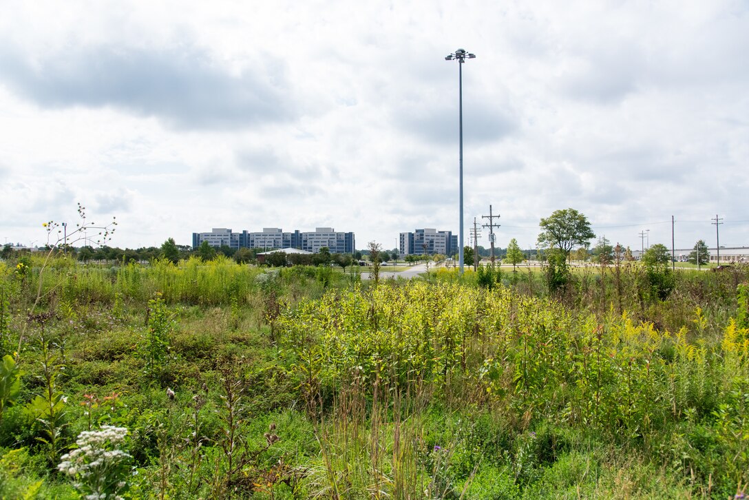 A large prairie habitat with warm season grasses and flowers with Buildings 20 and 21 in the background rising above the grasses.