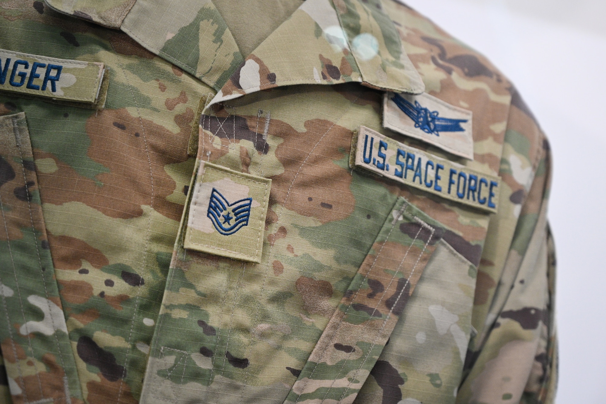 Enlisted Guardians