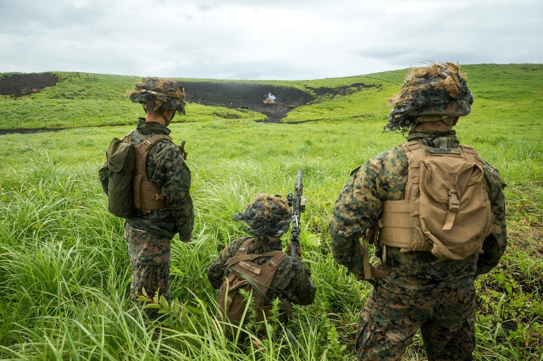 U.S. Marines with 1st Battalion, 6th Marine Regiment, currently assigned to 3rd Marine Division under the Unit Deployment Program, utilize an M203 Grenade Launcher during a live-fire range on Combined Arms Training Center Fuji, Japan, June 22, 2020. The Marines were participating in exercise Fuji Viper, an annual exercise focused on sustaining individual and small unit proficiency, independent platoon proficiency, and small unit decision making.