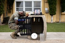 U.S. Marine Corps Cpl. Malachi Groff, a military police officer with Headquarters and Service Battalion, Marine Corps Recruit Depot San Diego honors his Military Working Dog Nero, during a memorial ceremony at MCRD San Diego, Sept. 18, 2023. MWD Nero showed great dedication and courage while working on MCRD San Diego from June 11, 2021 through Sept. 9, 2023. (U.S. Marine Corps photo by Sgt. Yvonna Guyette)