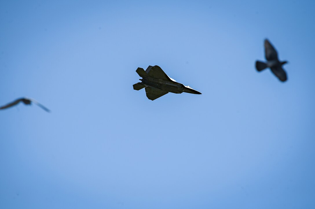 A military aircraft flies during daylight as a bird soars in the distance.