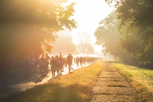 Marathon runners run on a road with the sunlight shining down on them.