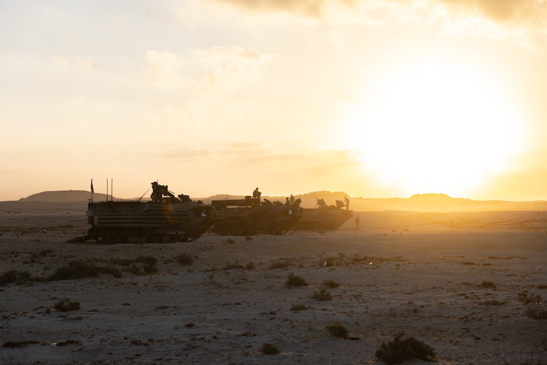 U.S. Marines with Alpha Company, 3rd Assault Amphibian Battalion, 1st Marine Division, prepare Amphibious Assault Vehicles before a combined arms live fire exercise during Bright Star 23 at Menar El Wahesh, Egypt, Sep. 14, 2023. Bright Star 23 is a multilateral U.S. Central Command exercise held with the Arab Republic of Egypt across air, land, and sea domains that promotes and enhances regional security and cooperation, and improves interoperability in irregular warfare against hybrid threat scenarios.