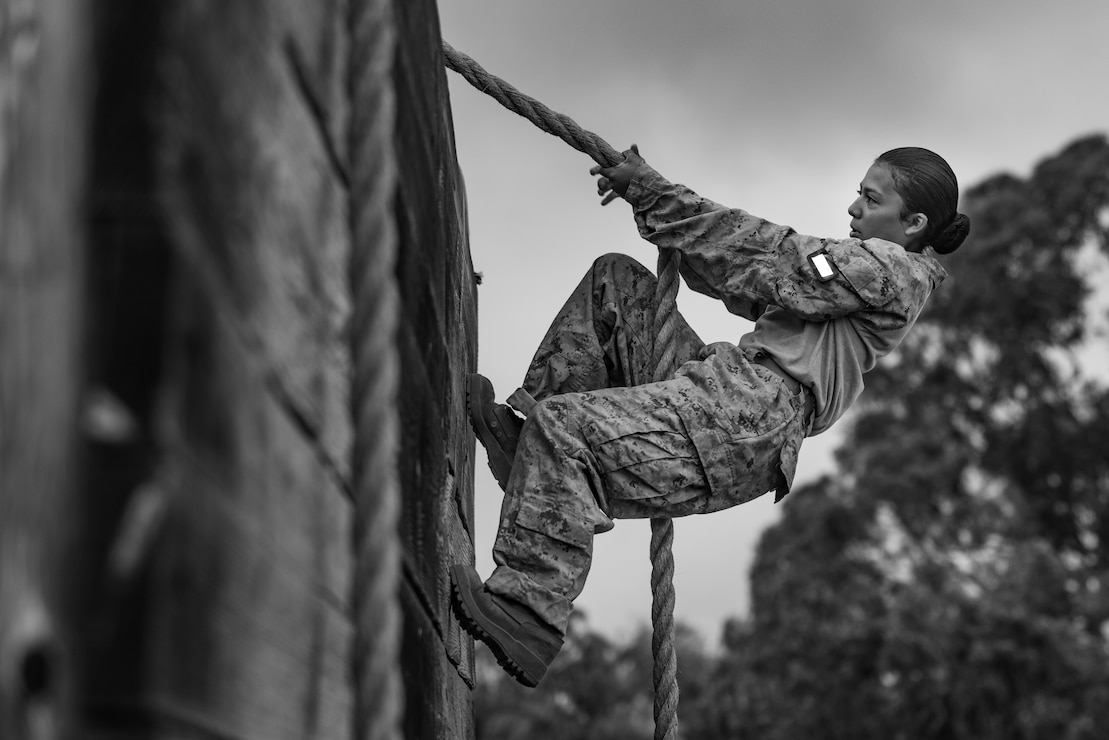 A U.S. Marine Corps recruit with Golf Company, 2nd Recruit Training Battalion, navigates a wall climb obstacle during a confidence course event at Marine Corps Recruit Depot San Diego, Sept. 18, 2023. Recruits became physically and mentally stronger by overcoming obstacles that require strength, balance, and determination. (U.S. Marine Corps photo by Cpl. Alexander O. Devereux)