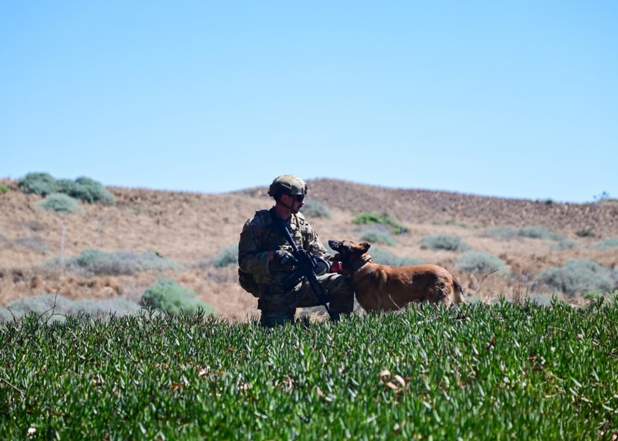 A man kneels with a dog.
