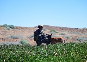 A man kneels with a dog.