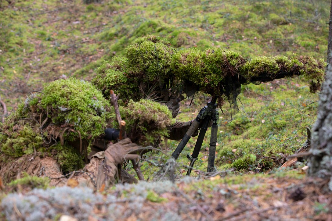 Two soldiers covered in grass aim weapons while laying in the woods.