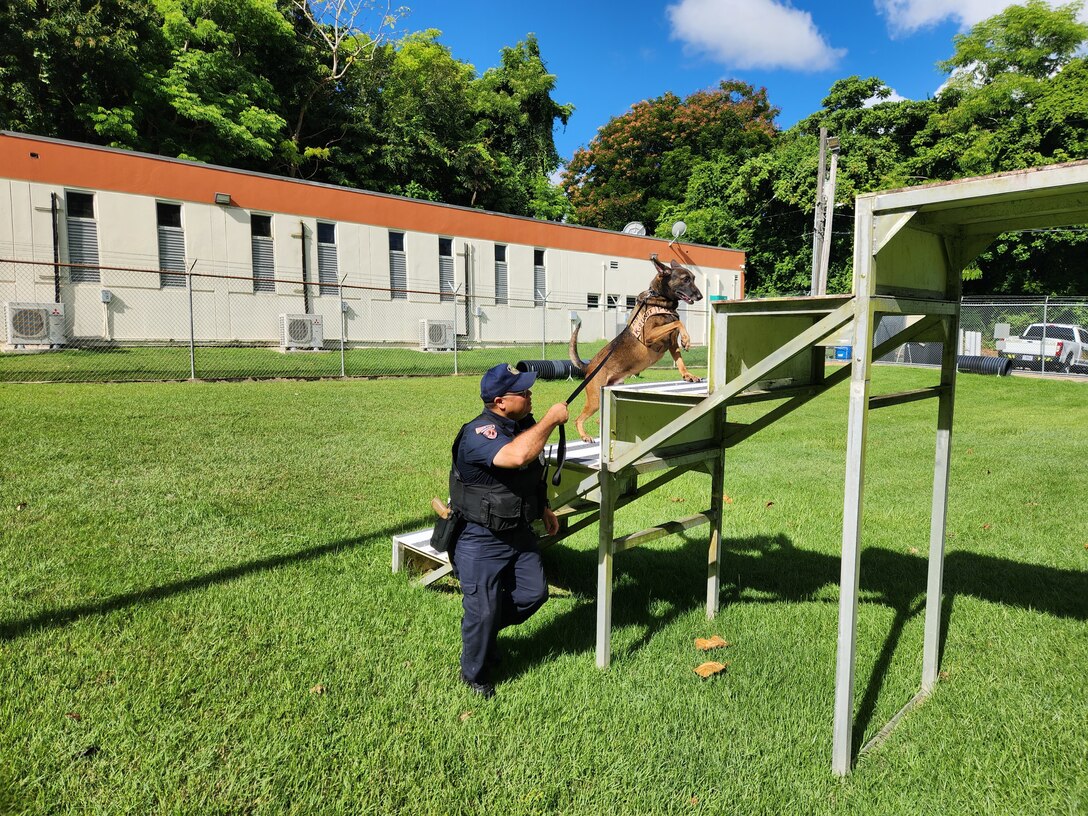 Fort Buchanan K9 team certification: a clear indicator of readiness