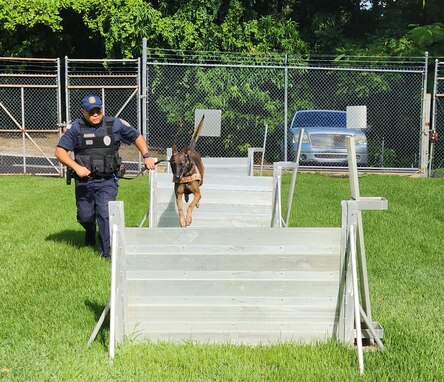 Fort Buchanan K9 team certification: a clear indicator of readiness