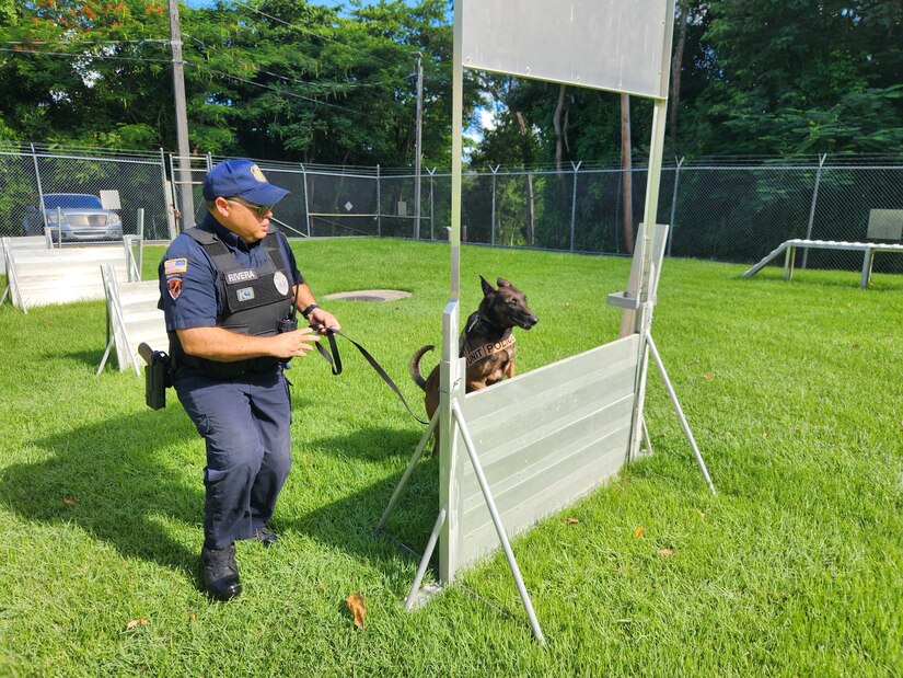 Fort Buchanan K9 team certification: a clear indicator of readiness