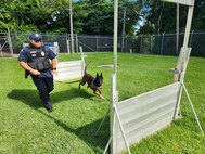 Fort Buchanan K9 team certification: a clear indicator of readiness