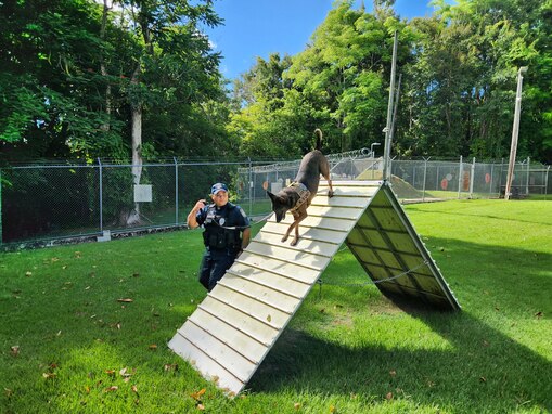 Fort Buchanan K9 team certification: a clear indicator of readiness