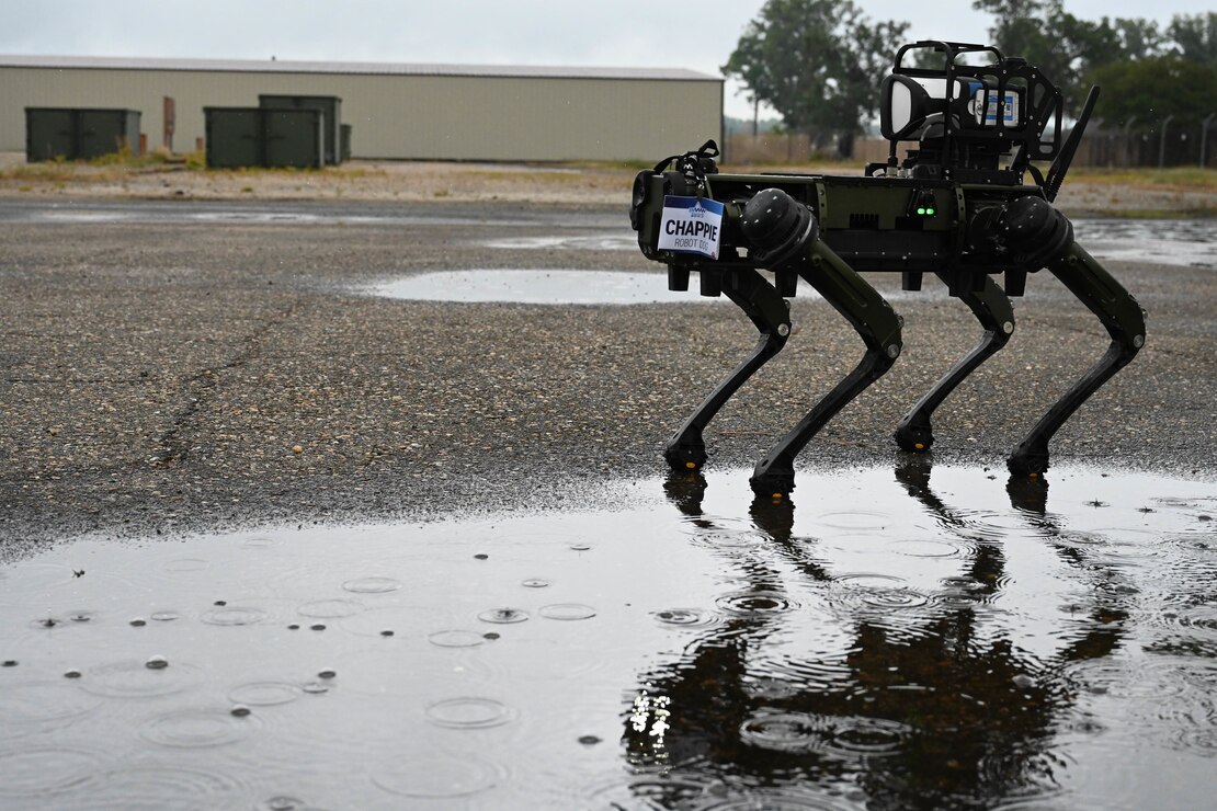 robot dog stands in a puddle