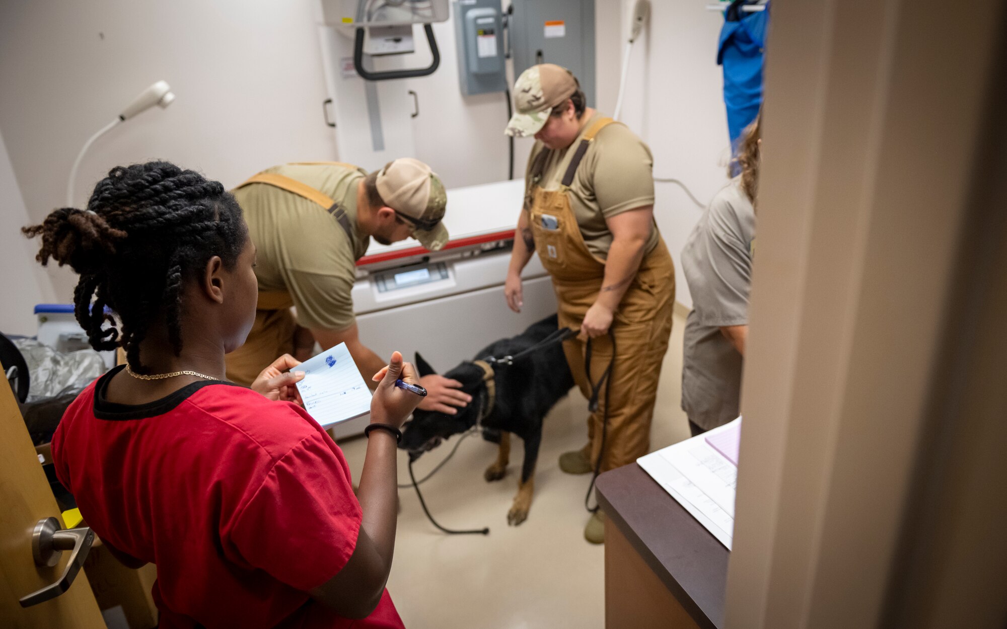 Members of the 6th Security Forces Squadron and MacDill Air Force Base veterinary clinic prepare military working dog Enrico for an x-ray at MacDill AFB, Florida, Sept. 5, 2023. MWD Enrico’s appointment took place to ensure his leg was healthy via x-ray. (U.S. Air Force photo by Senior Airman Lauren Cobin)