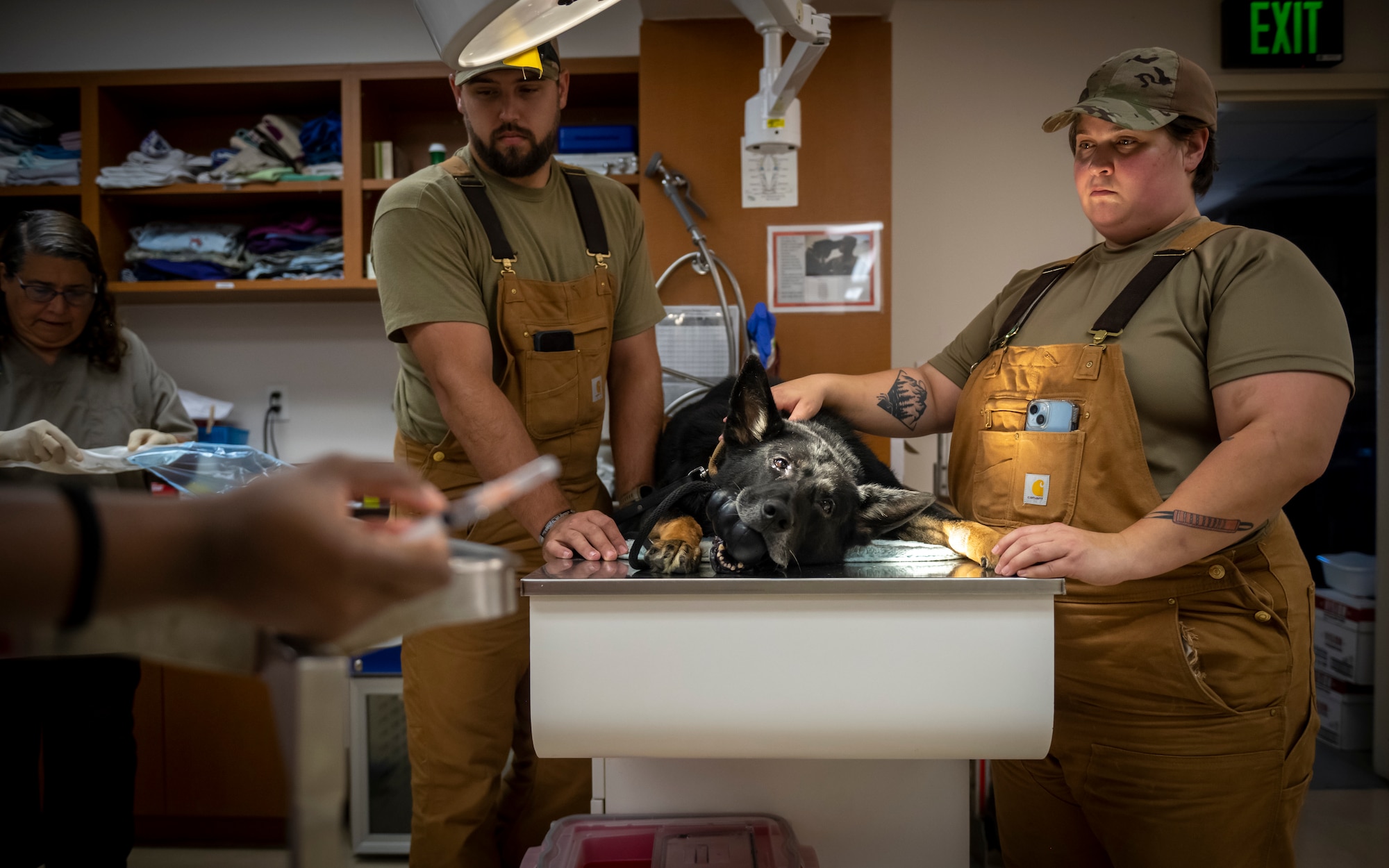 Members of the 6th Security Forces Squadron and MacDill Air Force Base veterinary clinic prepare military working dog Enrico for a biopsy at MacDill AFB, Florida, Sept. 5, 2023. Dog handlers assist veterinary clinic staff during appointments and are required to know various healthcare procedures such as drawing blood, inserting catheters and giving fluids. (U.S. Air Force photo by Senior Airman Lauren Cobin)