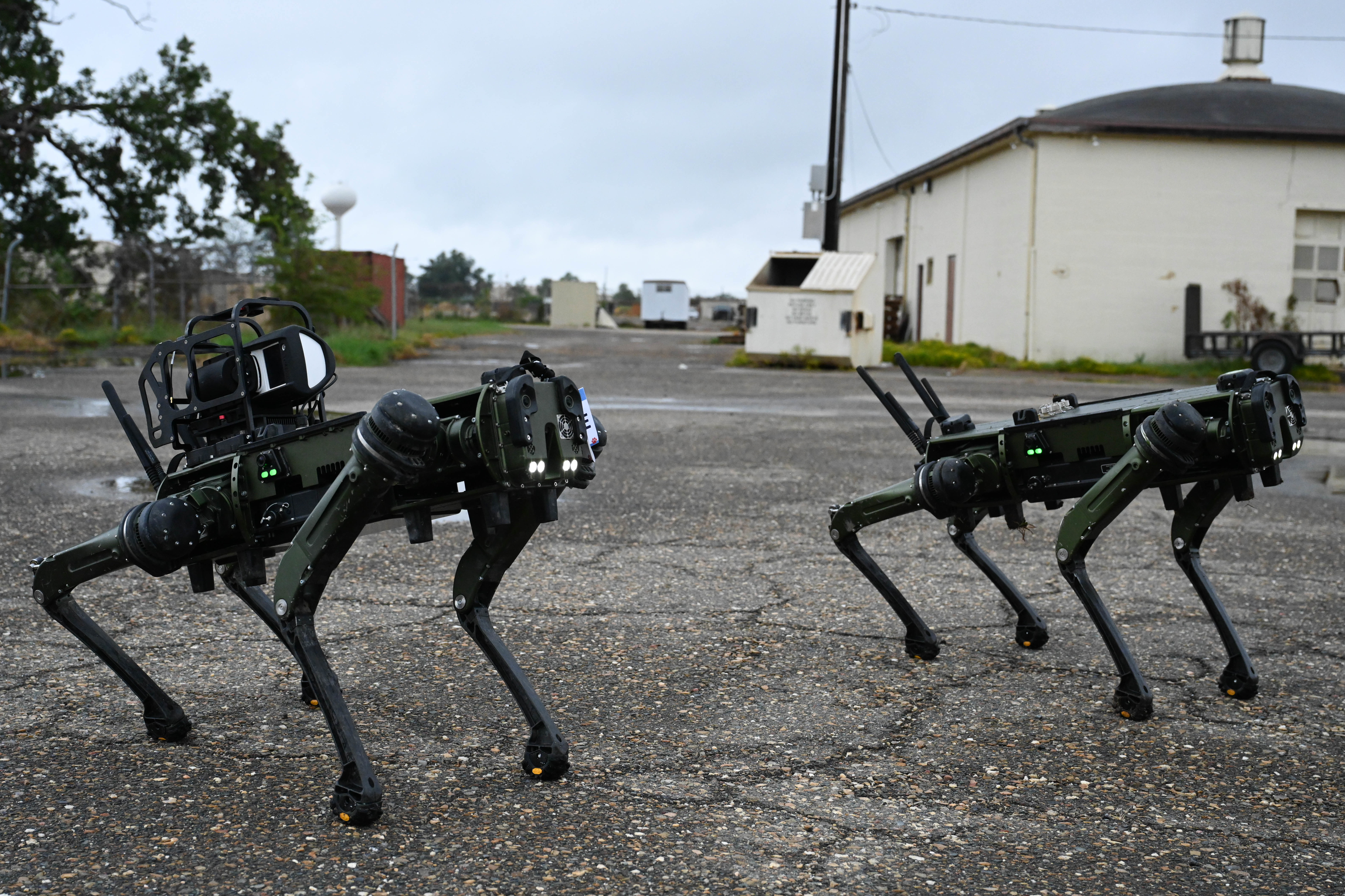 military robot dog