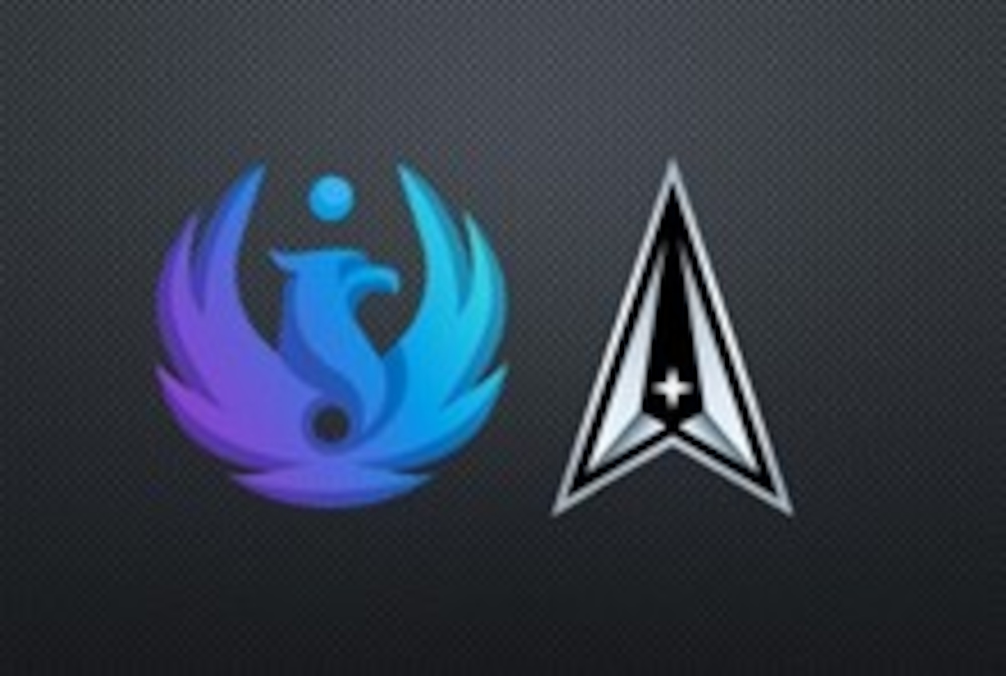 BESPIN logo to the left and Space Force logo to the right