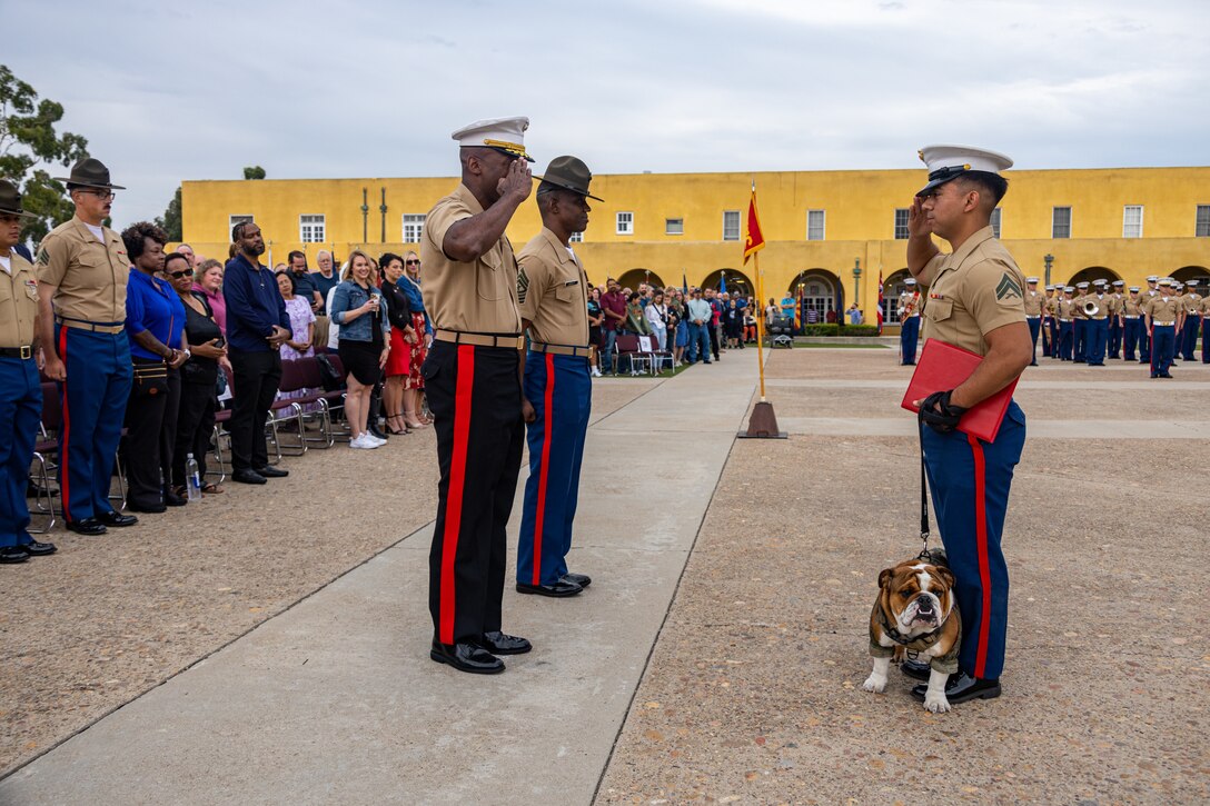 U.S. Marine Corps Brig. Gen. James A. Ryans, commanding general of Marine Corps Recruit Depot San Diego, returns a salute to Cpl. Joshua Dreher, combat graphics specialist with MCRD San Diego, and Bruno, the Depot mascot during the promotion ceremony for Bruno, Friday, Sept. 22, 2023. Pfc. Bruno was named in commemoration of Maj. Gen. Bruno Hochmuth, who at the time of his death was the first general officer killed during the Vietnam War. (U.S. Marine Corps photo by Sgt. Jesse K. Carter-Powell)